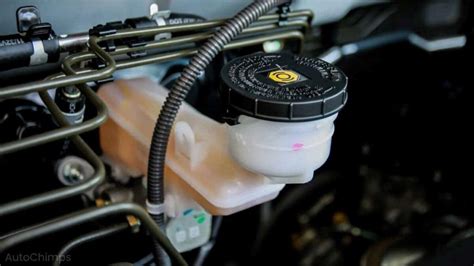 Brake fluid change cost. Things To Know About Brake fluid change cost. 